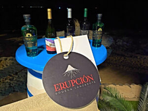 Platocanario.es Vinos de Bodega Erupción y el Pita Gin local