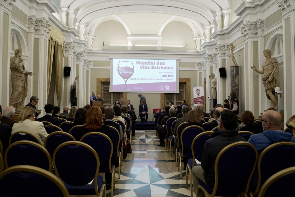 Platocanario.es Mondial de Vins Extremes 2024