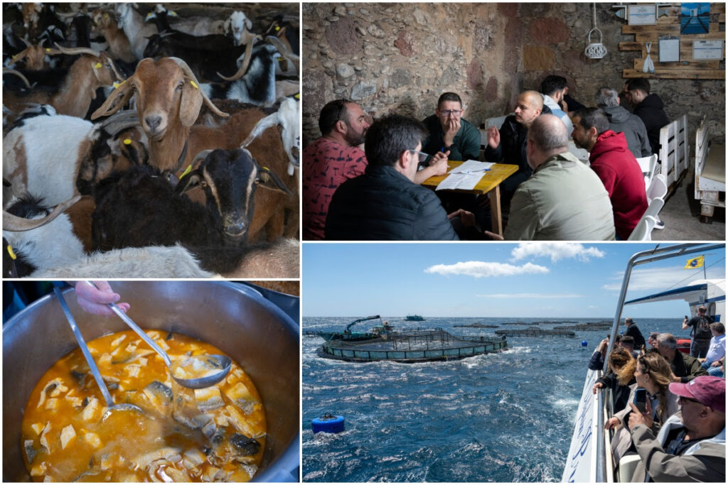 Platocanario.es Clausura de Terrae 2025