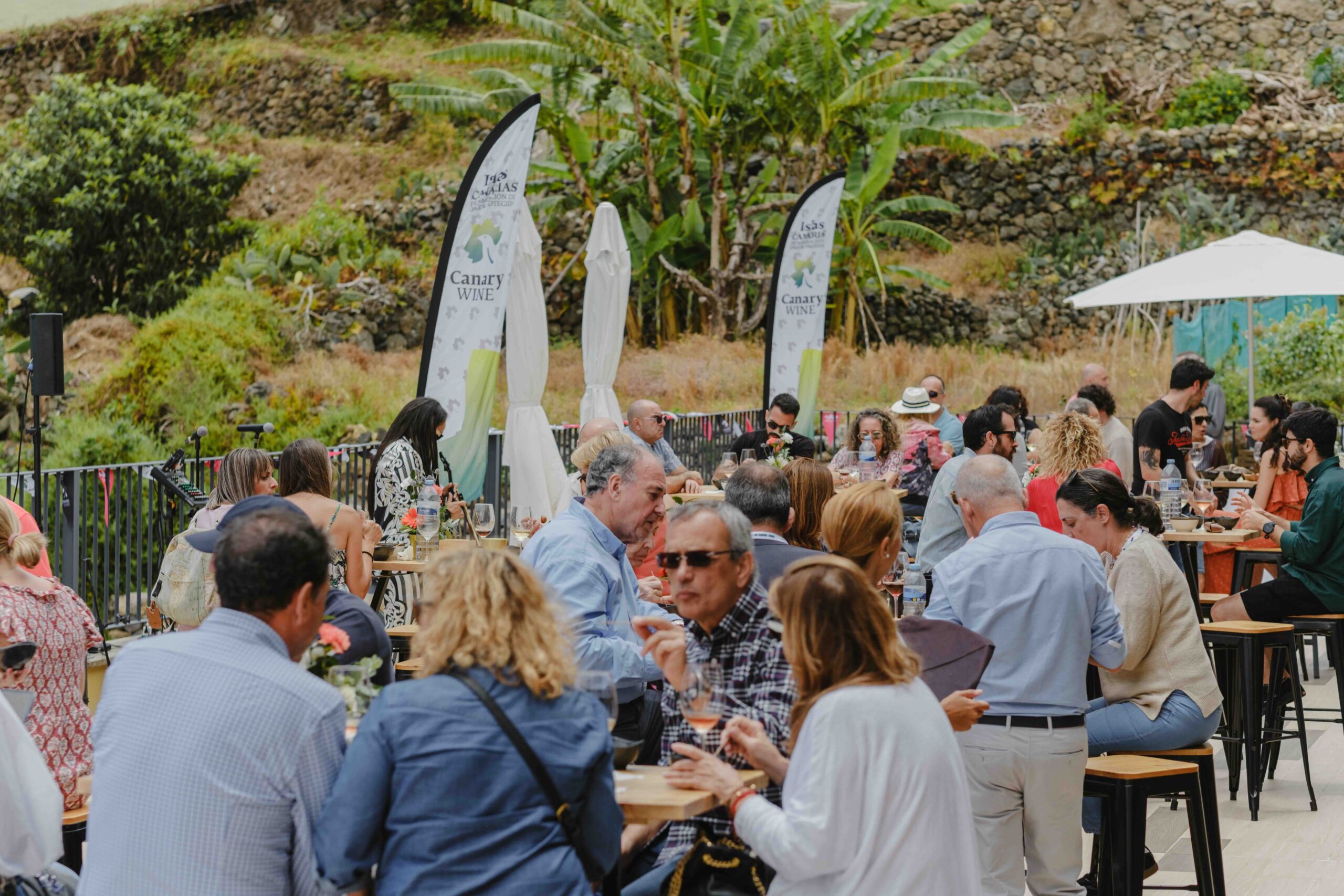 Platocanario.es Una de las sesiones de Descorcha Canarias 2025