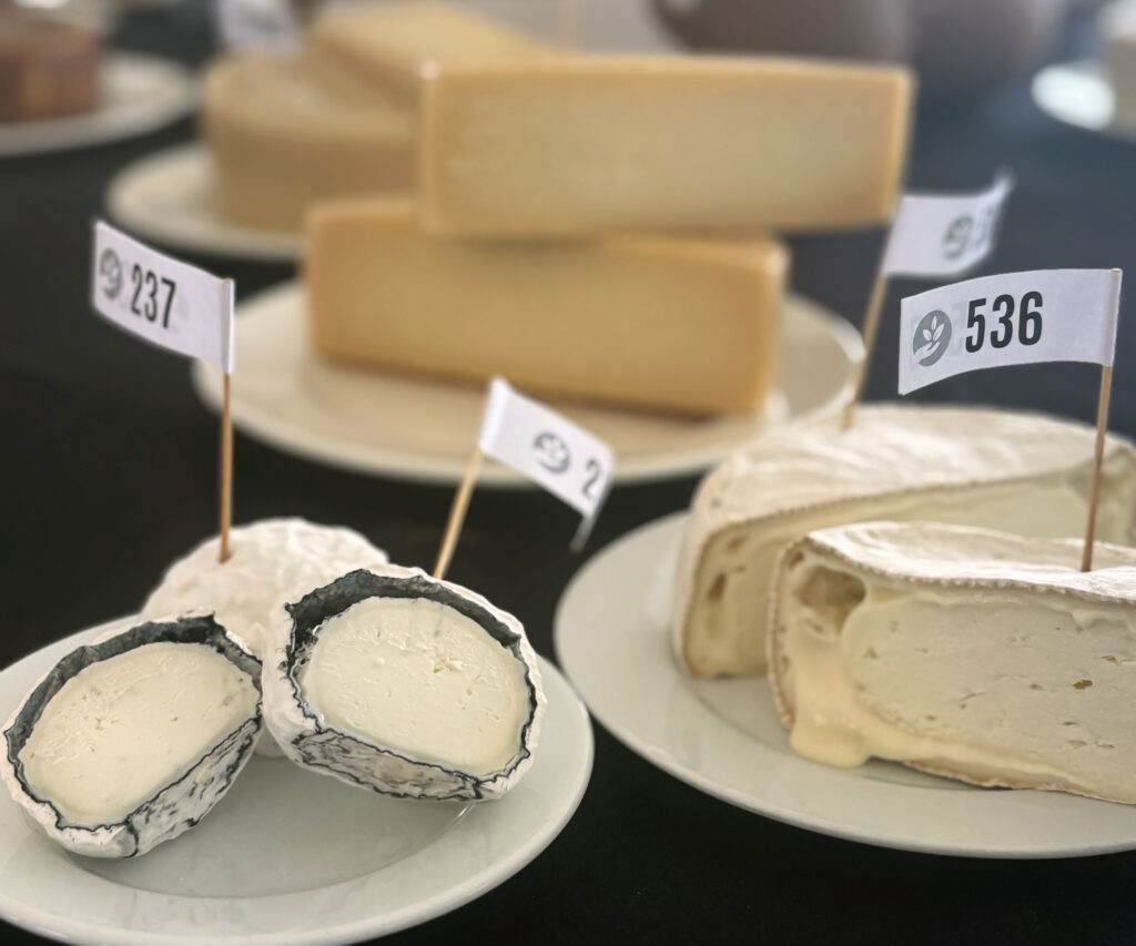 Platocanario.es cheeses of the Canary Islands