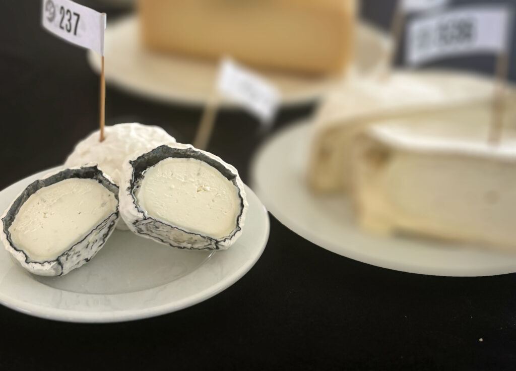 Platocanario.es El Minero es el Mejor Queso de Canarias 2025