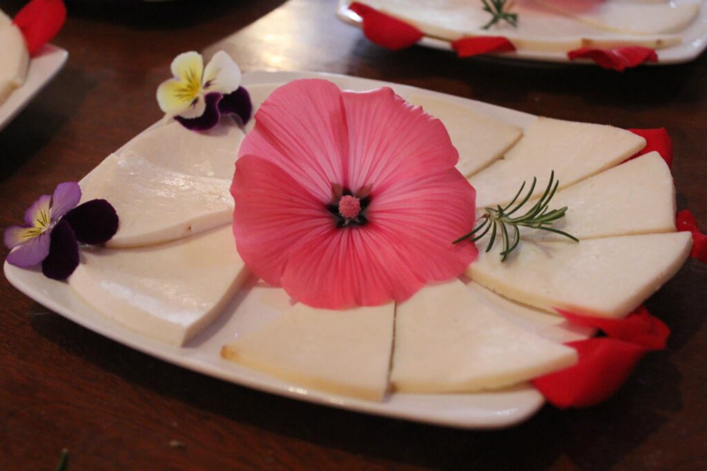 Platocanario.es Awara Moon Cheese