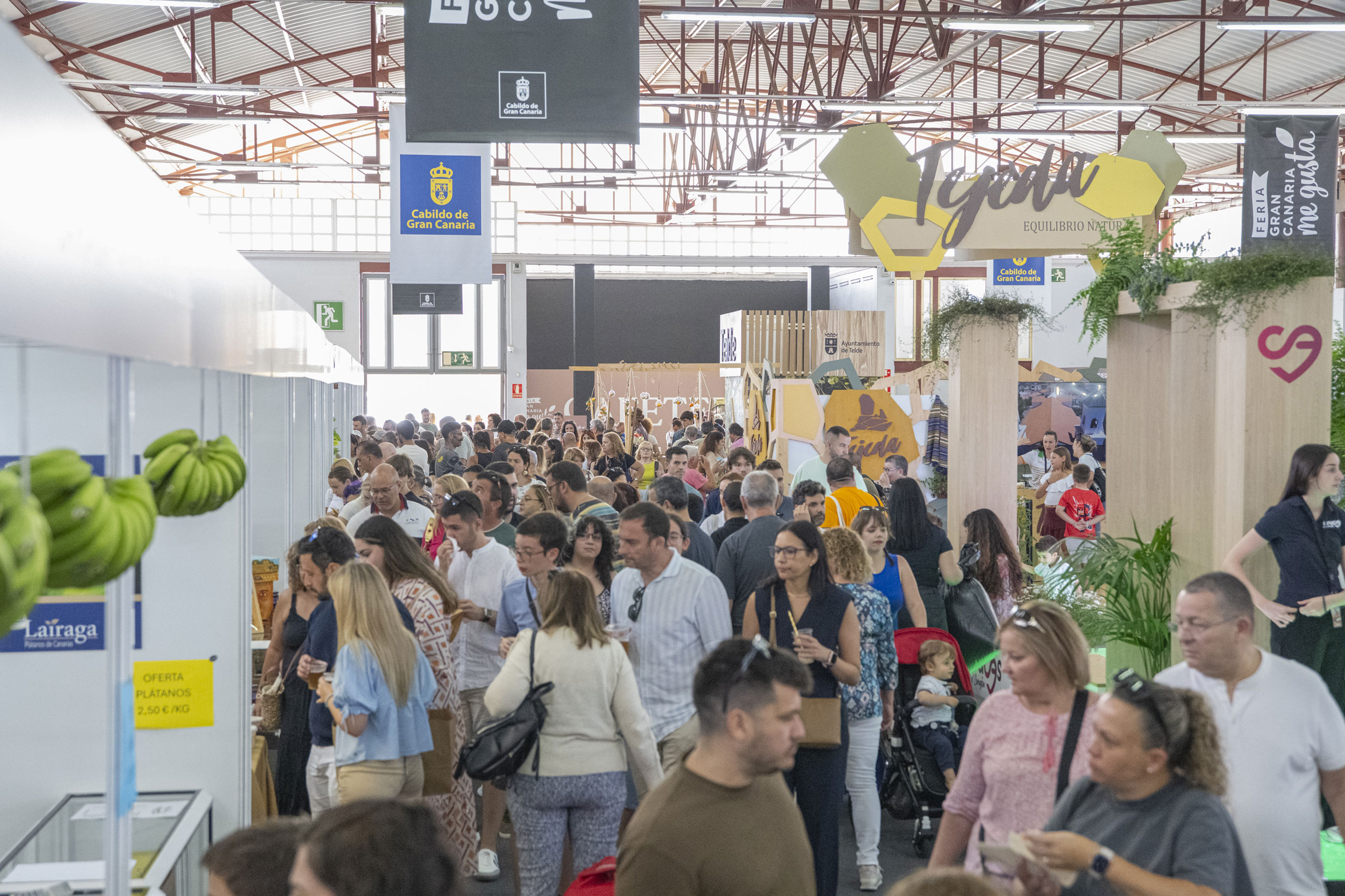 Platocanario.es Feria Gran Canaria Me Gusta