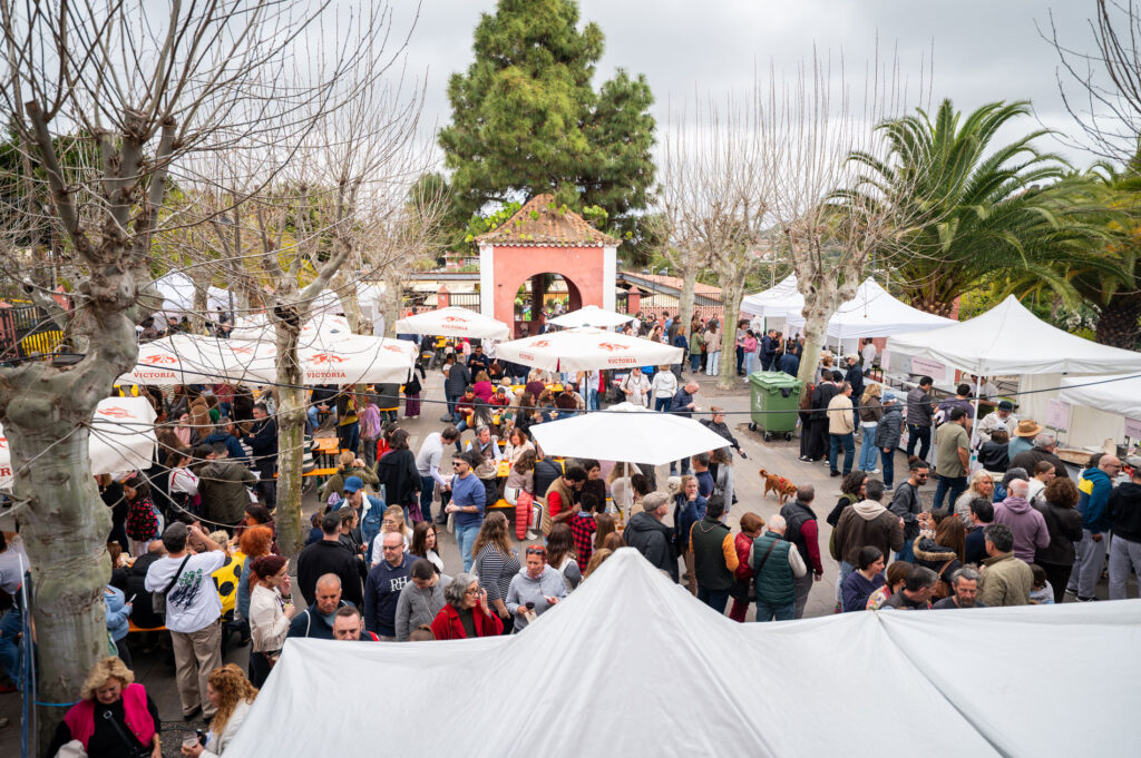 Platocanario.es Acto popular de Terrae en Santa Brígida