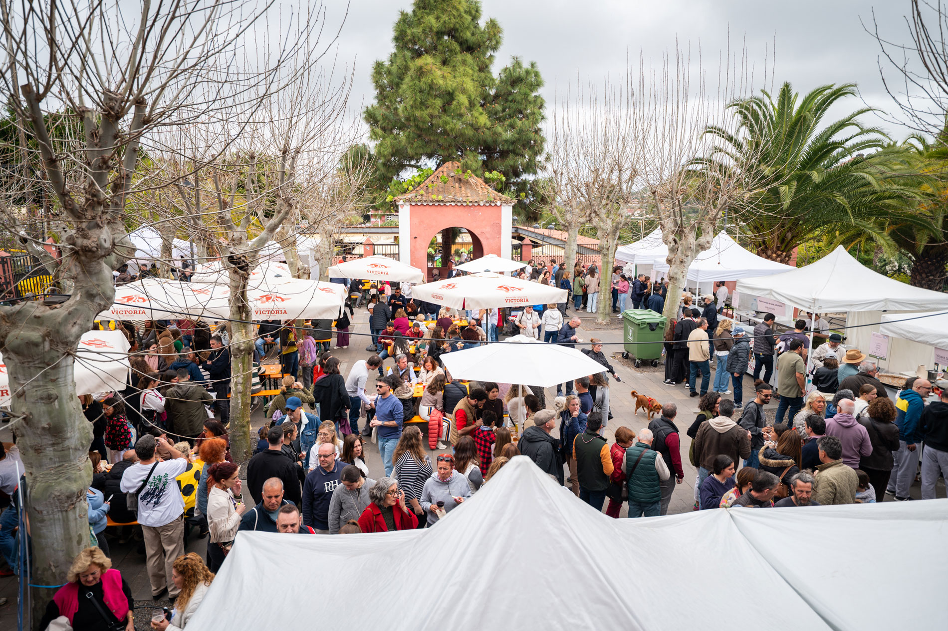 Platocanario.es Acto popular de Terrae en Santa Brígida