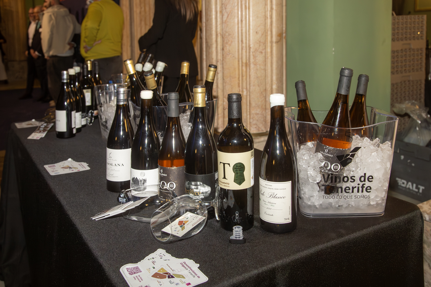 Platocanario.es Macarfi