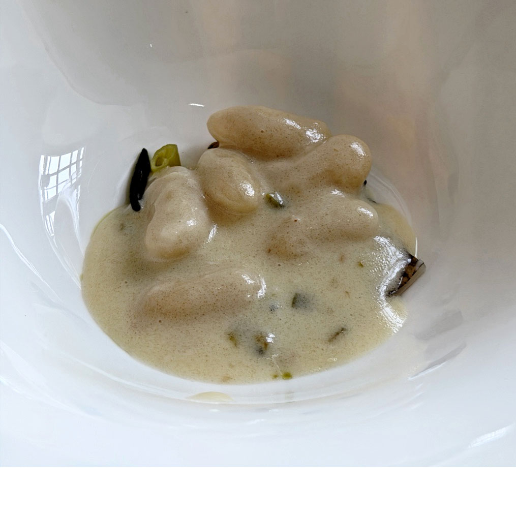 Platocanario.es Pochas con morena