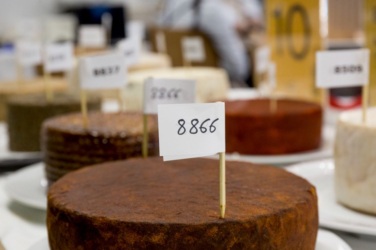 Platocanario.es Quesos canarios