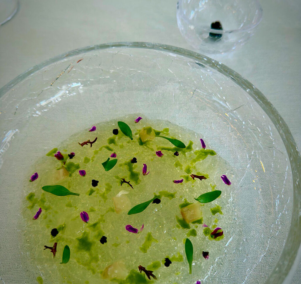 Platocanario.es Pez en el agua