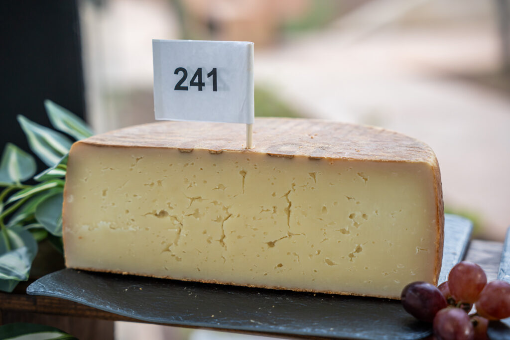Platocanario.es Mejor Queso Curado de Gran Canaria 2026