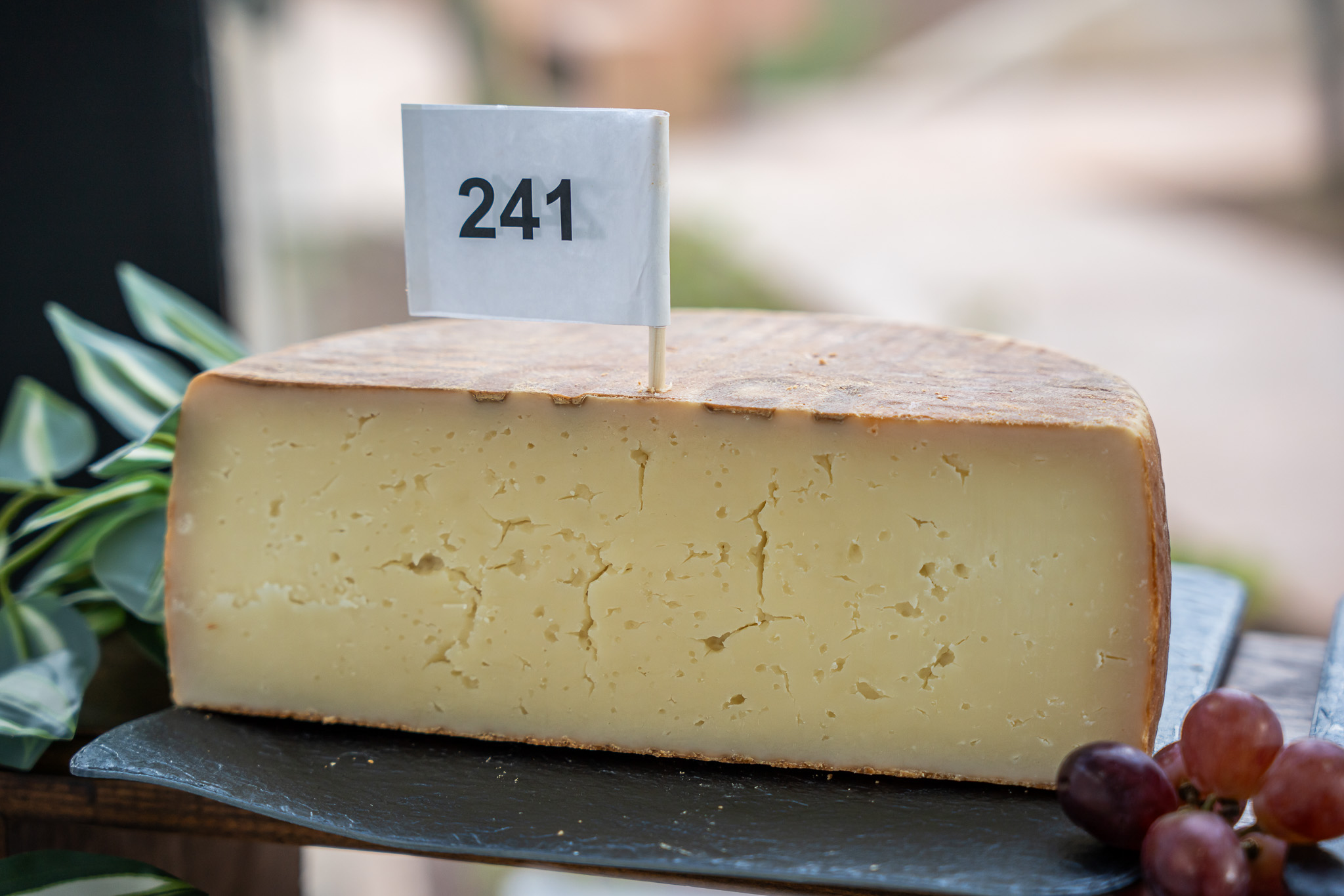 Platocanario.es Mejor Queso Curado de Gran Canaria 2026