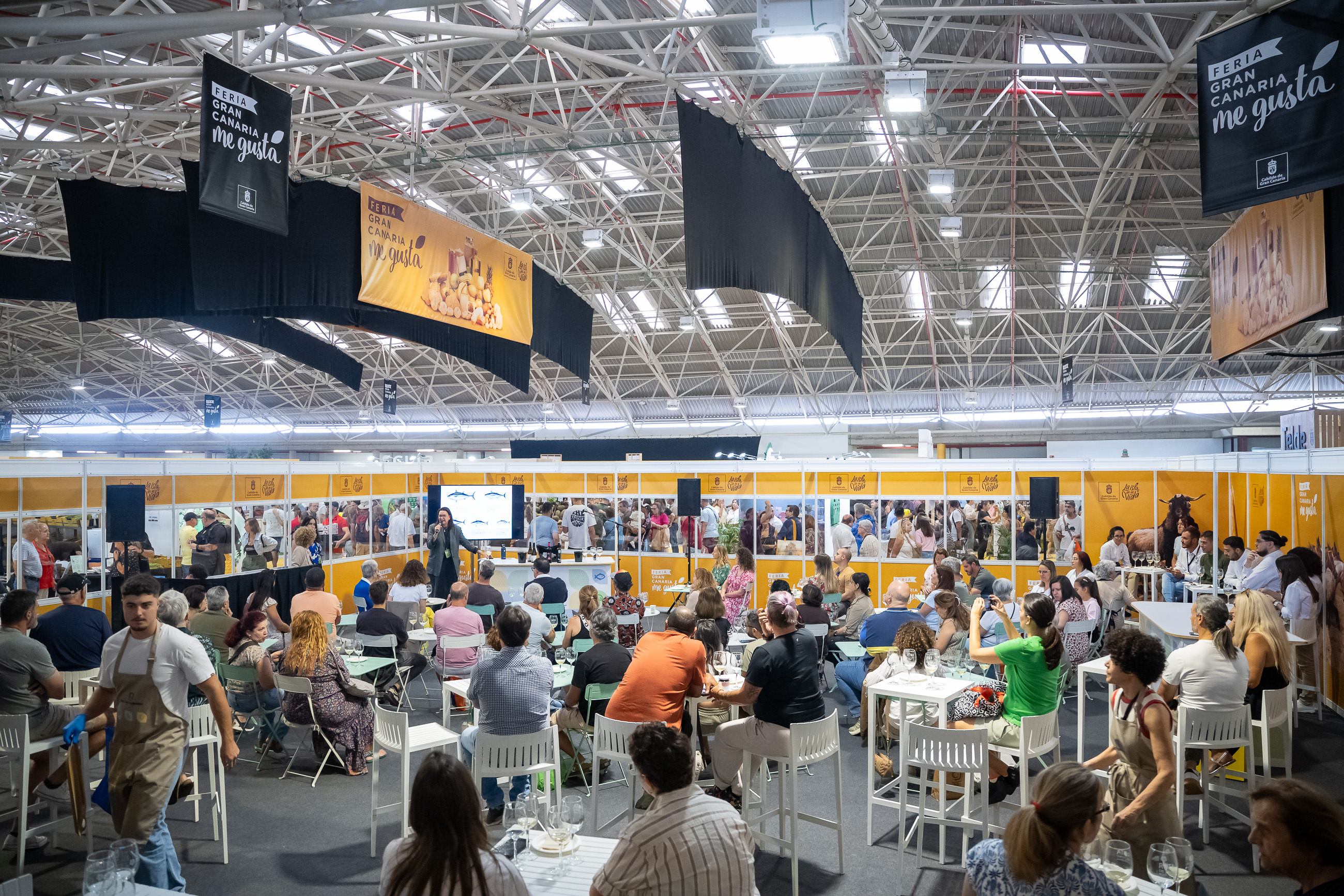 Platocanario.es Gran Canaria Me gusta 2026