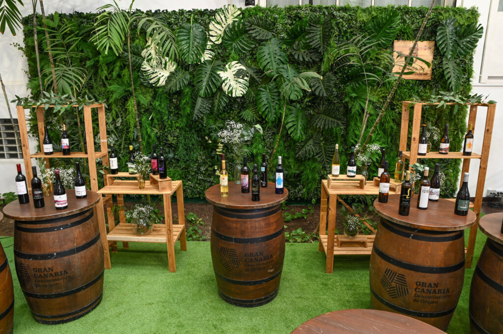Platocanario.es Mejores vinos de Gran Canaria 2026