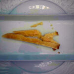 Broken cheese sticks on a light plate, with crumbs around them