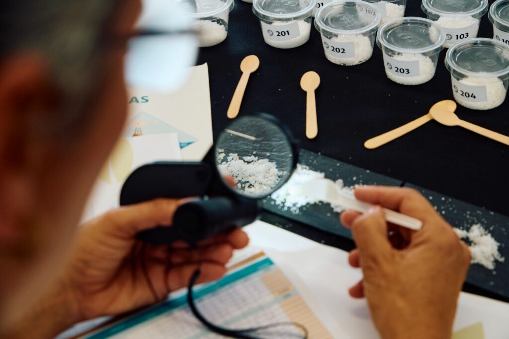 Platocanario.es Marina Salt Competition