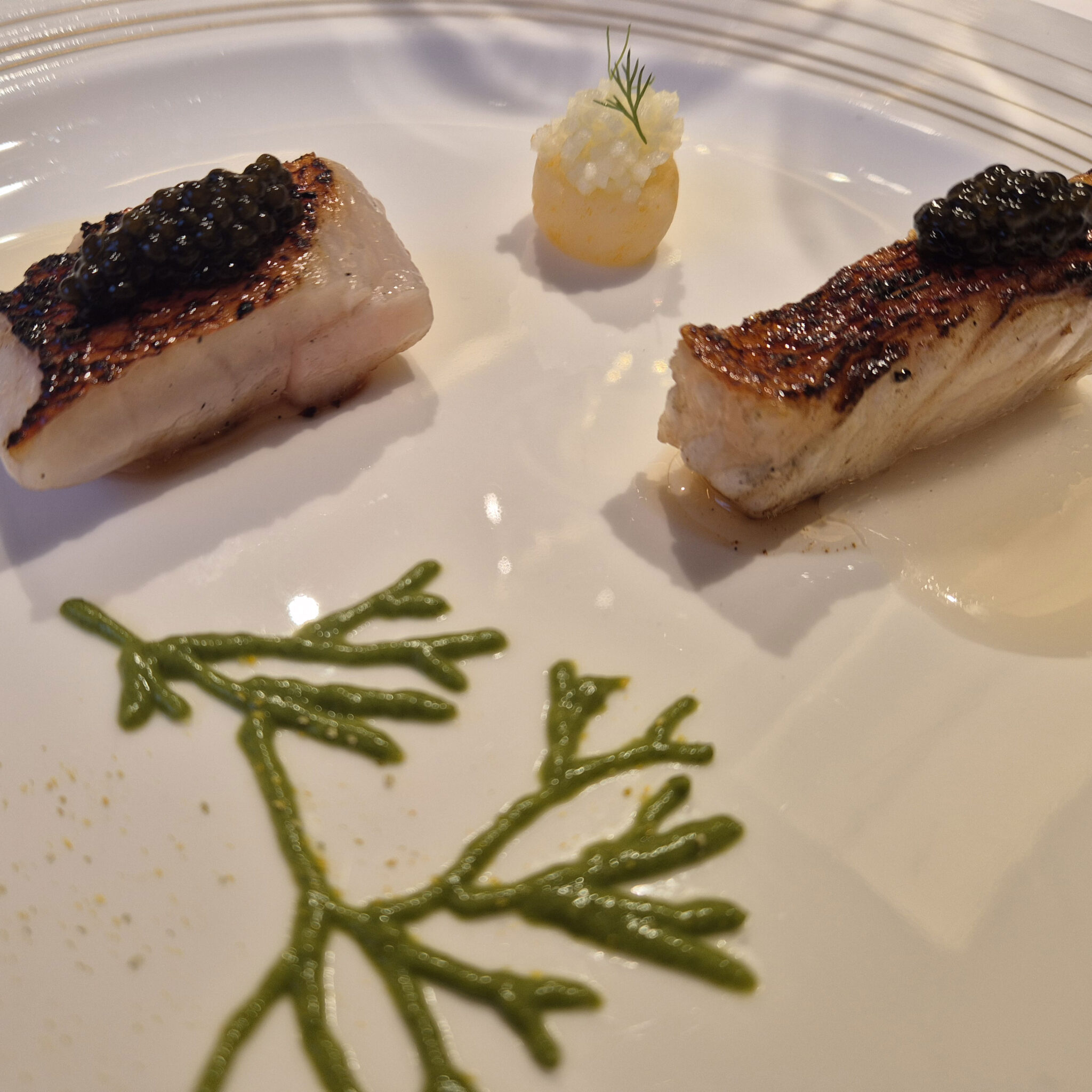 Platocanario.es Género Marino Taste 1973