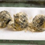 Platocanario.es Trufa negra canaria